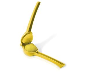 Presse citron Vin Bouquet Jaune TU