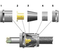 Presse-étoupe LAPP SKINDICHT® SHVE-M 32X1,5/29/24/19 52107070 M32 laiton laiton 10 pc(s)