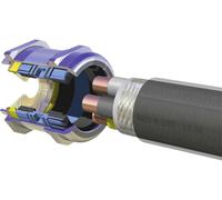 Presse-étoupe LAPP SKINTOP® MS-M BRUSH 75X1,5 PLUS 53112500 M75 laiton laiton 1 pc(s)