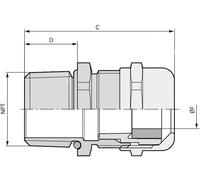 Presse-étoupe LAPP SKINTOP® MS-NPT 1 1/4'' 53112054 1 1/4\ laiton laiton 10 pc(s)