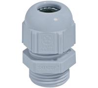 Presse-étoupe LAPP SKINTOP® ST-M 63x1,5 RAL 7001 SGY 53111070 M63 Polyamide gris-argent (RAL 7001) 1 pc(s)