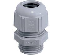 Presse-étoupe LAPP SKINTOP® STR-M 40x1,5 RAL 7001 SGY 53111150 M40 Polyamide gris-argent (RAL 7001) 1 pc(s)