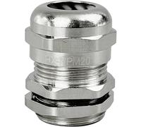 TRU COMPONENTS TC-10302832 Presse-étoupe M20 laiton (nickelé) métal 1 pc(s)