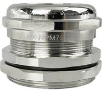 TRU COMPONENTS TC-10302864 Presse-étoupe M75 laiton (nickelé) métal 1 pc(s)