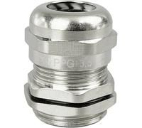 TRU COMPONENTS TC-10302880 Presse-étoupe PG13.5 laiton (nickelé) métal 1 pc(s)