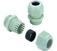 Presse-étoupe Weidmüller VG M20-K67 10-14 1909700000-50 M20 Polyamide gris 50 pc(s)