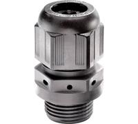 Presse-étoupe Wiska ESVG 20 10060802 M20 Polyamide noir 1 pc(s)