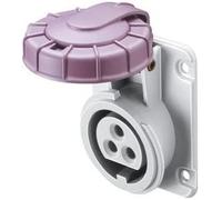 Presse Fixe Gewiss Encastrée À 10 Degrés IP67 2P 16A 20-25V Violet Câblage À Vis