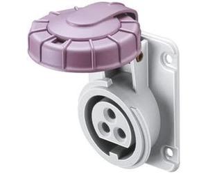 Presse Fixe Gewiss Encastrée À 10 Degrés IP67 2P 16A 20-25V Violet Câblage À Vis
