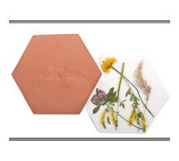 Presse à fleurs et herbes en terre-cuite pour le micro-ondes - Terracotta - L 19,4 x P 17,1 x H 3,3 cm