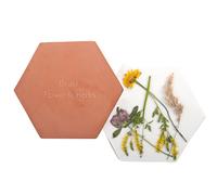Presse à fleurs et herbes en terre-cuite pour le micro-ondes - Terracotta - L 19,4 x P 17,1 x H 3,3 cm