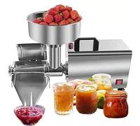 Presse-fruits électrique 450 W en acier inoxydable, idéale pour les confitures, les sauces, le ketchup, la confiture de fraises et de myrtilles (220 V).
