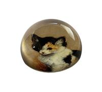 Presse papier Chaton éveillé par RONNER KNIP