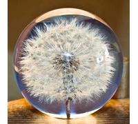 Presse-papier en forme de pissenlit - Boule de rêve - Boule de vœux en cristal - Presse-papier unique en forme de pissenlit - Cadeau parfait - 9 cm de diamètre