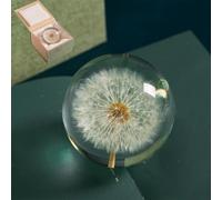 Presse-papier en résine en forme de pissenlit avec de vraies fleurs enrobées, boule de cristal cadeau pour décoration d'intérieur - Accessoire de bureau unique fait à la main (7/8/9 cm de diamètre) (9