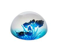 Presse papier Irisis par Koson