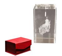 Presse-papier modèle en cristal d'organe humain, Cube en verre d'anatomie de 3,9 pouces(Heart)