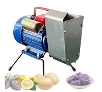Presse-purée électrique en acier inoxydable très résistant, écrasage sans effort pour légumes et fruits, haute efficacité 20-30 kg/h, facile à nettoyer