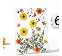 Pressed Flower Frame - Acrylic Clear Standard Size | Dried Flowers Display Photo Frame, Botanical Keepsake Home Decor, Transparent Floating Picture Frames For Table Desk Wall Display | Home Decor