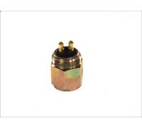 Pressostat, hydraulique des freins DT SPARE PARTS 4.60466 pour NG 5.96 1973-1996
