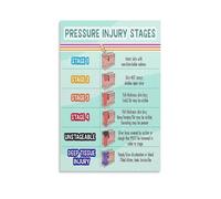 Pressure Ulcer Stages Educational Poster - Essential Guide for Nursing Students & Healthcare Professionals - Clinical Wall Art for Hospital, Office, Study(Unframed,08x12inch(20x30cm))