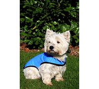 Prestige Pet Products - Manteau rafraîchissant pour chien - Bleu -Taille S