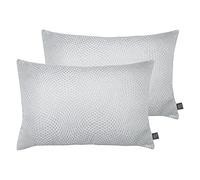 Prestigious Textiles Camber Twin Pack Plumes Coussins Filled, Polyester, Sterling, 40 x 60 cm