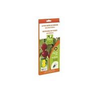 PRESTO BIO 10 Pièges Adhésifs Jaunes Pour Mouches Des Arbres Fruitiers