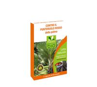 Presto Bio Phéromones Contre Le Poinçon Rouge de La Palma Pour Piège Insecte