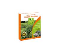 Presto Bio Phéromones Contre Le Ver de La Pyrale Du Buis Bosso Pour Piège Drain