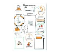 Prêt! Affiche Mes Premières Fois, Format A3 42x30 cm, Poster Souvenir Naissance à Remplir, Cadeau Baby Shower et Future Maman, Design Illustré en Pastels, Made in France