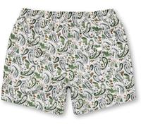 Pretty Green Men's Aquarelle Swim Shorts Pierre Grand Male