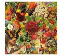 Pretty & Nice - Us You All We [Import allemand]