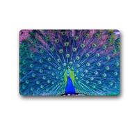 Pretty Peacock Blue Customized Design Non-Slip Doormat Non-Woven Fabric Top Doormats Indoor/Outdoor Machine-Washable Door Mat Gate Pades (L23.6"X15.7"W) Cheap Rugs Cool Rugs