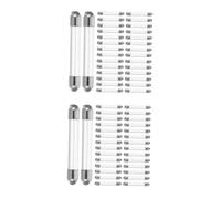 PRETYZOOM 2 Boîtes Fusibles Tube Verre Rapide à Cartouche Compacte Résistants Chaleur pour Protection Industriel et Automobile