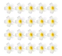 PRETYZOOM 20pièces Plumeria Flower Hair Clips Épingles à Cheveux Hawaïennes Pour Femmes Et Accessoires De Coiffure Élégants Pour Mariages Et Événements Spéciaux