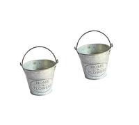 PRETYZOOM 2pièces Seau De Vintage Décoration pour Séchées Accessoire Intérieur Jardin Champêtre pour Maison Et Bureau