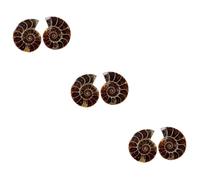 PRETYZOOM 3 Ensembles Échantillons De Fossiles Ammonite Pour Enseignement Éducatif Paléontologie Pour Étudiants Décorations De Laboratoire 2 Pièces * 3