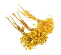 PRETYZOOM Bouquet De Fleurs De Gypsophile Séchées en Vrac pour Décoration De Maison Centre De Table De Mariage
