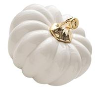 PRETYZOOM Citrouille en Céramique Nordique Récolter des Citrouilles Modèles De Citrouille Figurine De Citrouille d'automne Figurines d'action De Grâces Citrouilles d'halloween Blanche