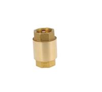 PRETYZOOM Clapet Anti-retour Laiton Inline Pouce pour Carburant Air Eau Huile Coupler Robuste et Résistant