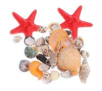 PRETYZOOM Coquillages Naturels Conques pour Aquarium Et Micro-Paysage Décoration avec Escargots De Mer Coquillages De Plage