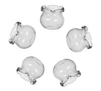 PRETYZOOM Ensemble De 5 Mini-Aquariums en Verre pour Décoration De Maison De Poupée