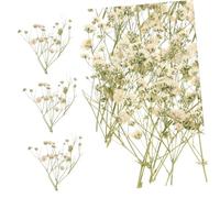 PRETYZOOM Fleurs Séchées Gypsophile Blanche 80 Tiges Composition Naturelle DIY Plantes Stabilisées Décoration Mariage Et Vase Maison Bureau Salon