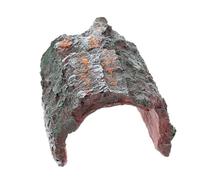 PRETYZOOM Maison de Cachette Créative pour Reptiles et Maison Cachée des Reptiles Multifonctionnelle en Résine pour Terrarium et Paysage sous-Marin Adaptée aux Lézards et Tortues