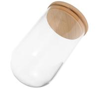 PRETYZOOM Micro-Paysage Cache-Poussière Pots De Fleurs en Verre Jardinières Hydroponiques Bouteille en Verre pour Aménagement Paysager Aquarium Betta Vase À Fleurs Transparent