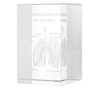 PRETYZOOM Modèle D'anatomie du Poumon Humain en Cristal Cube 3d Décoration Polyvalente et Design Unique pour Étudiants en Médecine et Bureau