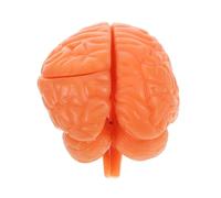 PRETYZOOM Modèle Démontable pour Éducation et Physiologie Médicale pour Apprentissage les Cabinets