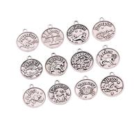 PRETYZOOM Pendentifs Signe du Zodiaque en Alliage, Lot de 12 Set de Breloques Rétro, pour Création de Bijoux Femme, Couleur Argenté Ancien, Accessoires DIY pour Colliers Bracelets, Présent