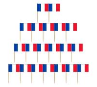 PRETYZOOM Pics À Cocktail Jetables 200 Pièces 2.56X1.38In avec Drapeaux Nationaux pour Décoration De Fruits Fêtes Plage Bar Accessoires